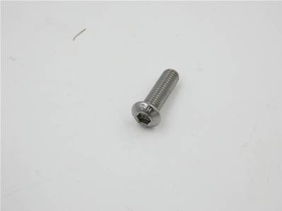 Screw M6-1.0X20 Button Hd Hx Socket Ss 12229A020