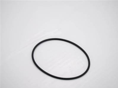 Seal-O Ring Eco Log 7007884