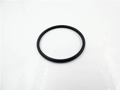 Thermostat gasket 211981