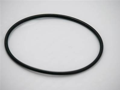 Seal O-Ring Eco Log 7030132