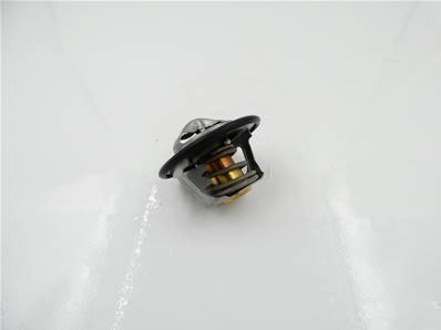 Thermostat 211965
