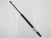 Door gas spring BN613-025