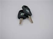 Ignition Key Eco Log 7038434