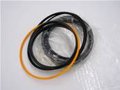 Cylinder seal kit John Deere AH163672