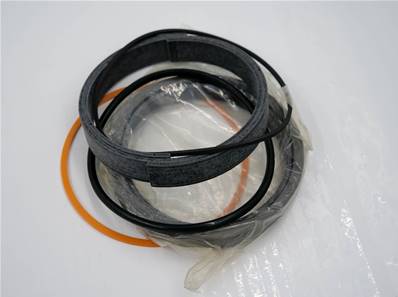 Cylinder seal kit John Deere AH137208