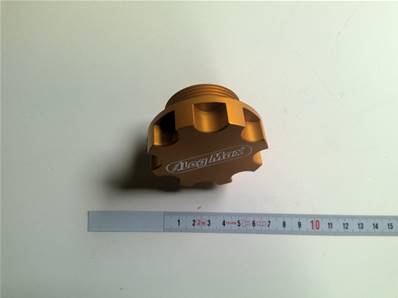 Filling Cap, Gold Log Max RE013969