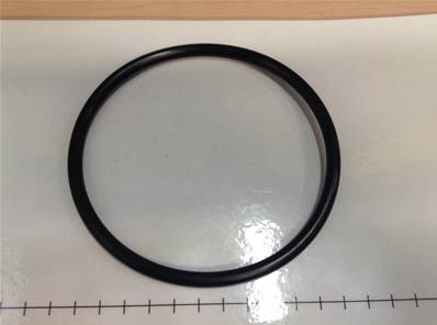 O-Ring 99.10x5.70 Log Max RE543062