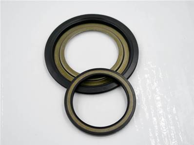 Seal kit for POCLAIN MS08 Log Max RE635253