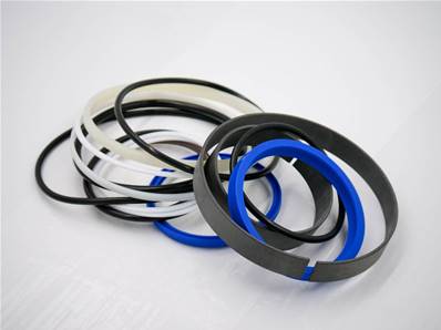 Lifting cylinder seal set