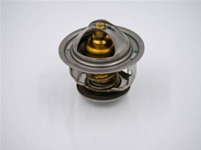 Thermostat VOLVO 21746213