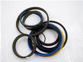 Lift cylinder seal kit John Deere F604772