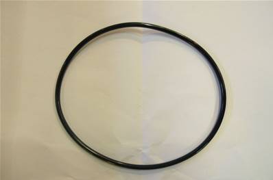 O-Ring 125X4 Log Max RE543164