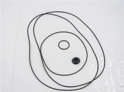Seal kit for POCLAIN MS08 Log Max RE635252