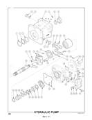 Hydraulic Pump 50401761S5
