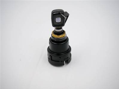 Ignition Switch Eco Log 7038200