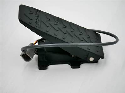 Accelerator Pedal Eco Log 9905679