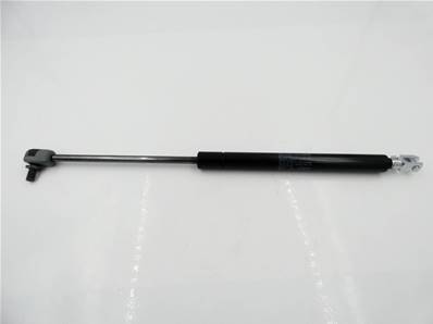 Gas Spring Eco Log 9906681