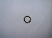 Seal Ring 22Mm Log Max RE601111