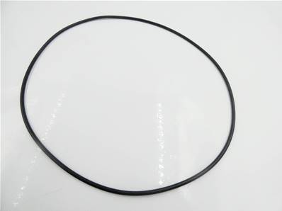 O-Ring 212099