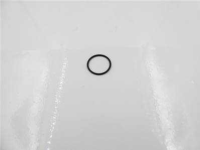 O-Ring 212489