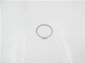 Circlip 54014