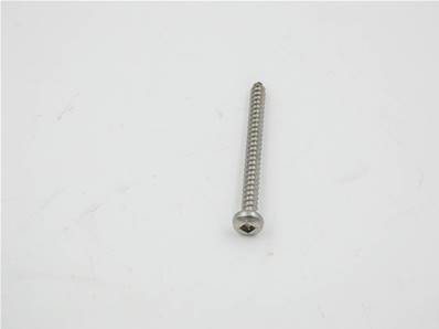 Screw  #8 X 2” Lg  Ss