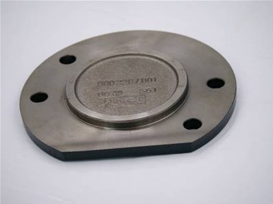 Cover Eco Log 9903785