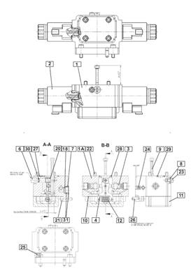 Advance pump, regulator 9991892
