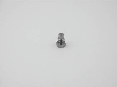 Guide screw 0694077