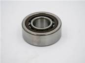 Cyl. Roller Bearing Eco Log 7019354