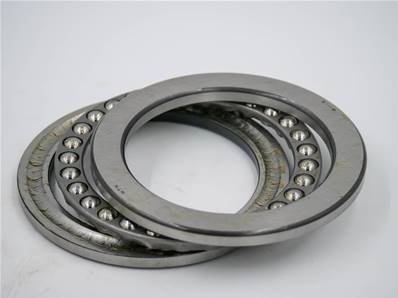 Bearing Eco Log 7029662