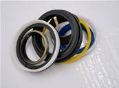 Grapple cylinder seal Kit John Deere F035383