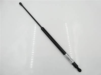 Door gas spring BN613-025