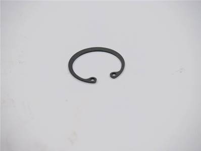 Seeger Ring