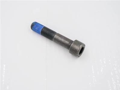 Allen Screw Eco Log 7032880