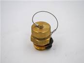 Oil Plug Eco Log 7038180