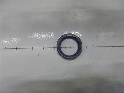 Seal 31x42x8 Log Max RE546008