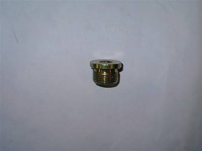 Hex Plug 3/4'' Log Max RE601004