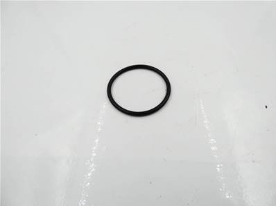 O-Ring 212486