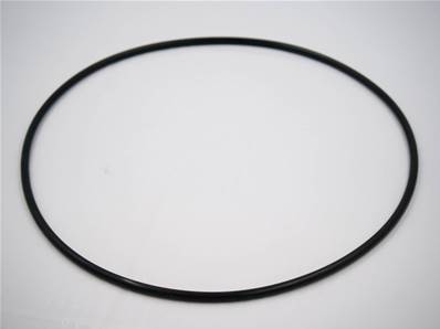 Seal O-Ring Eco Log 7032547