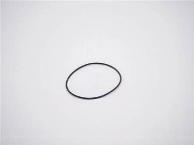 O-Ring 70X2 Mm. Eco Log 7033799