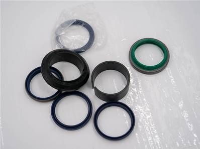 Cylinder seal kit John Deere AHC16954