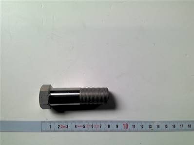 Bolt M20 Log Max RE017021