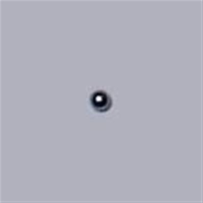 Steel Ball Rb-4 Log Max RE511003