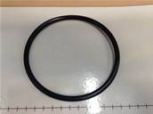 O-Ring 99.10x5.70 Log Max RE543062