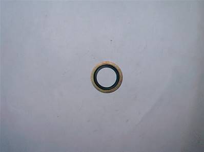 Seal Ring 22Mm Log Max RE601111