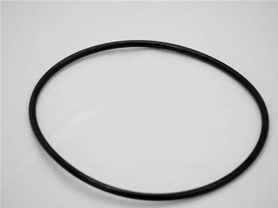 O-Ring Eco Log 7032351