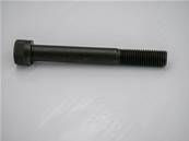 Mc6S M20X160 10.9 Eco Log 7037989