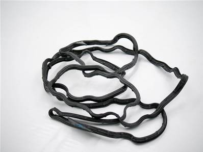 Gasket Eco Log 7038941