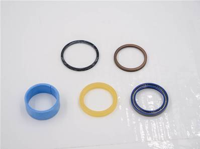 Cylinder seal kit John Deere RE20433